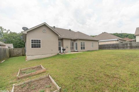 16918 N Fork Dr, Alexander, AR 72002 photo 26
