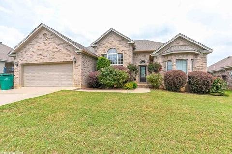 16918 N Fork Dr, Alexander, AR 72002 photo 1