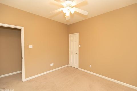 16918 N Fork Dr, Alexander, AR 72002 photo 17