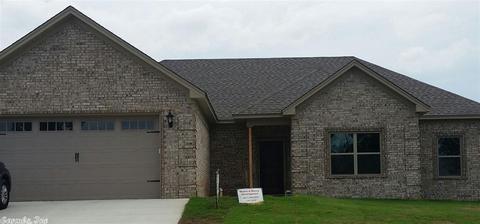802 Mango Loop, Austin, AR 72007 photo 1