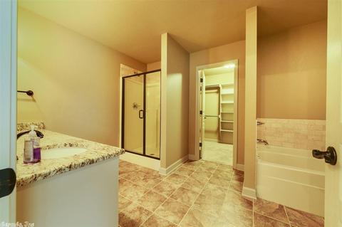 13 Winchester Dr, Austin, AR 72007 photo 23