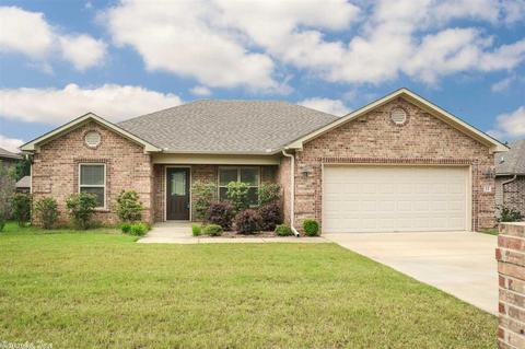 13 Winchester Dr, Austin, AR 72007 photo 1