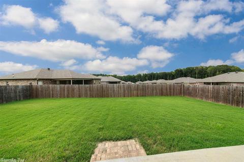 13 Winchester Dr, Austin, AR 72007 photo 38