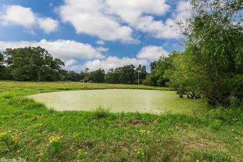 313 Tater Ln, Austin, AR 72007 photo 39