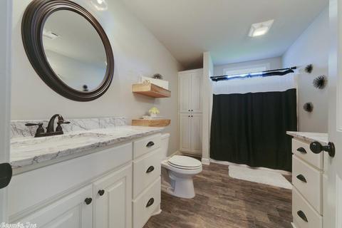 313 Tater Ln, Austin, AR 72007 photo 26