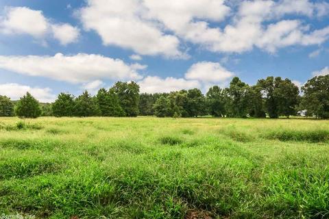 313 Tater Ln, Austin, AR 72007 photo 38