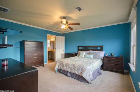 3610 Campfire Cv, Conway, AR 72034 photo 13
