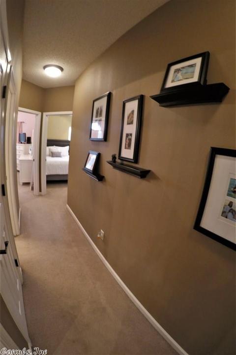 13500 Melrose Dr, Alexander, AR 72002 photo 21