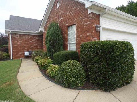 13500 Melrose Dr, Alexander, AR 72002 photo 4