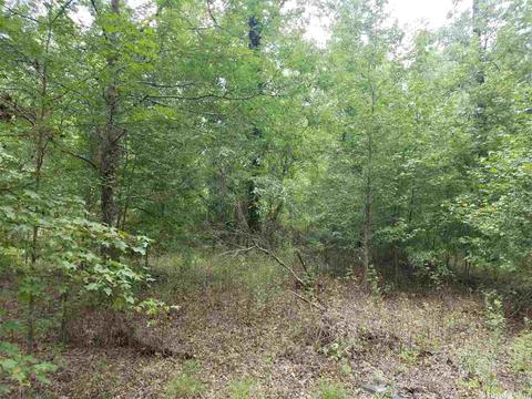 498 Warnix, Hensley, AR 72065 photo 2
