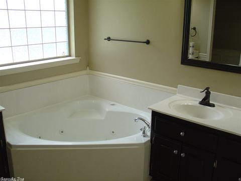 3025 Brooke Ln, Benton, AR 72015 photo 19