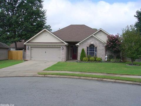 3025 Brooke Ln, Benton, AR 72015 photo 3