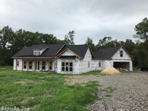 1101 Brookhaven Ct, Alexander, AR 72002 photo 1