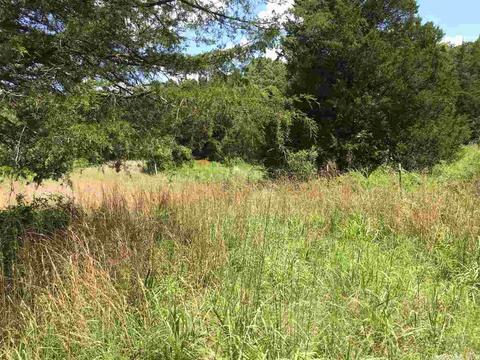907 Lawerence Rd, Bee Branch, AR 72013 photo 9