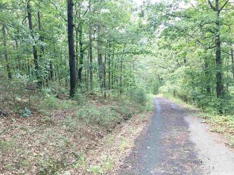 907 Lawerence Rd, Bee Branch, AR 72013 photo 6
