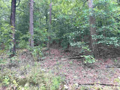 907 Lawerence Rd, Bee Branch, AR 72013 photo 7