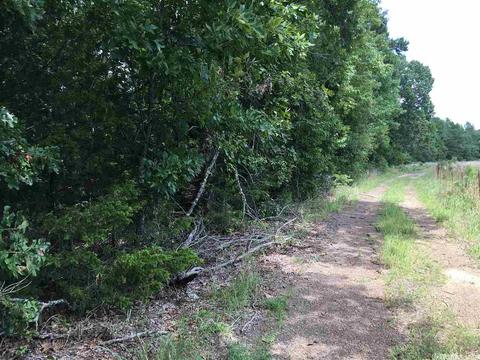 907 Lawerence Rd, Bee Branch, AR 72013 photo 3