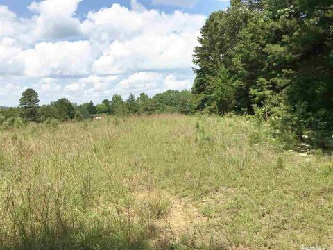 907 Lawerence Rd, Bee Branch, AR 72013 photo 8