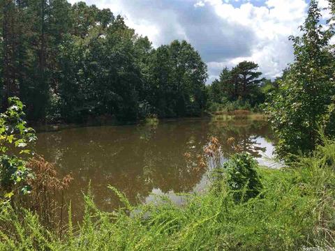 907 Lawerence Rd, Bee Branch, AR 72013 photo 17