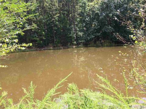 907 Lawerence Rd, Bee Branch, AR 72013 photo 14