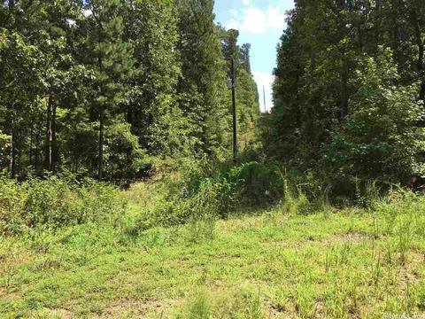 907 Lawerence Rd, Bee Branch, AR 72013 photo 15