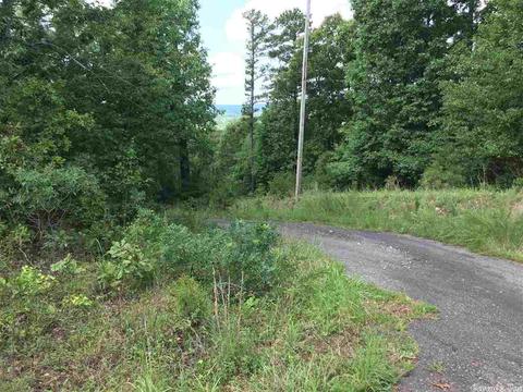 907 Lawerence Rd, Bee Branch, AR 72013 photo 5