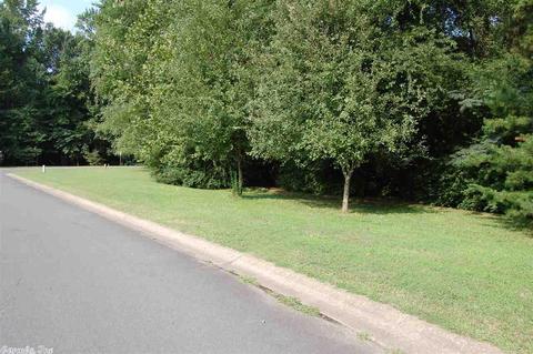 924 Bridgewater, Benton, AR 72019 photo 40