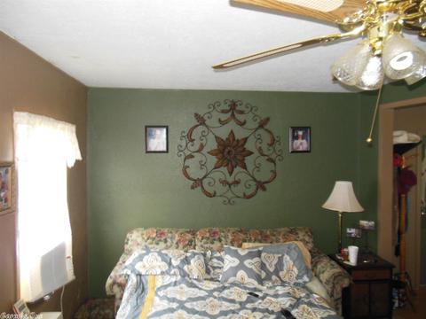 203 E Bennett, Letona, AR 72085 photo 17
