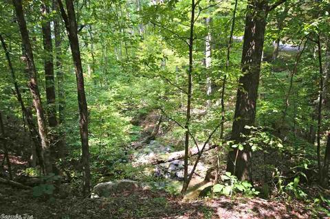 237 Briarpatch Ct, Mountain Pine, AR 71956 photo 37