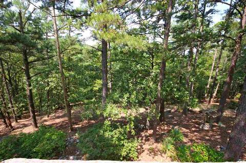 237 Briarpatch Ct, Mountain Pine, AR 71956 photo 12