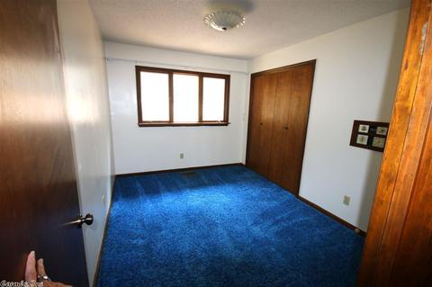 237 Briarpatch Ct, Mountain Pine, AR 71956 photo 29