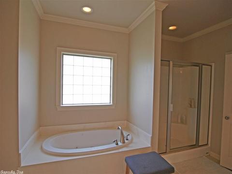 3502 Hemlock Cv, Benton, AR 72015 photo 24