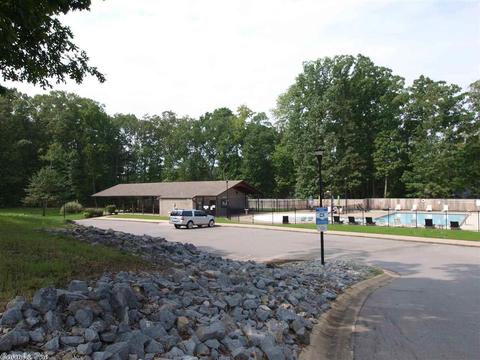 3502 Hemlock Cv, Benton, AR 72015 photo 32