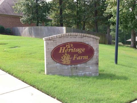 3502 Hemlock Cv, Benton, AR 72015 photo 33