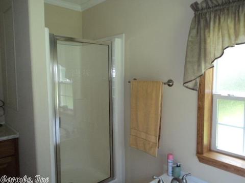 876 Besancon Rd, Cabot, AR 72023 photo 18