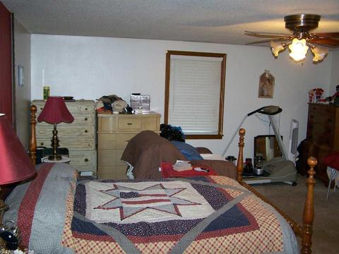 380 Cr 116, Big Flat, AR 72617 photo 26