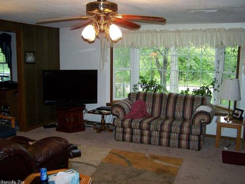 380 Cr 116, Big Flat, AR 72617 photo 28