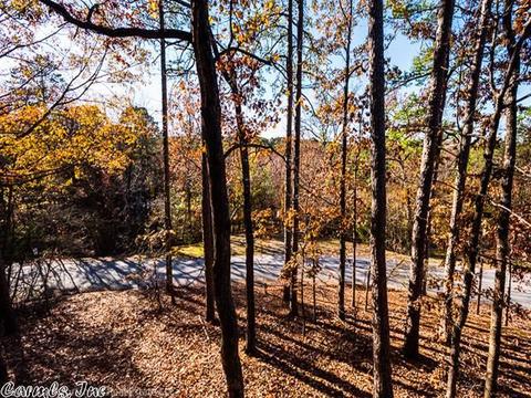 5 Fairview St # B, Mount Ida, AR 71957 photo 14