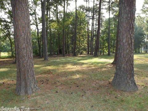 6 Eagle Dr, Texarkana, AR 71854 photo 3