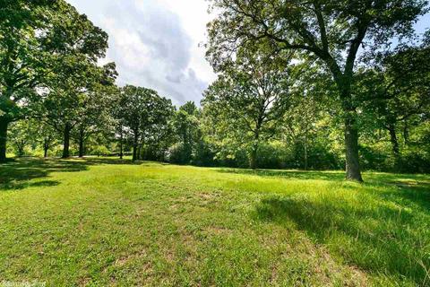 9114 Peters Rd, Cabot, AR 72023 photo 39