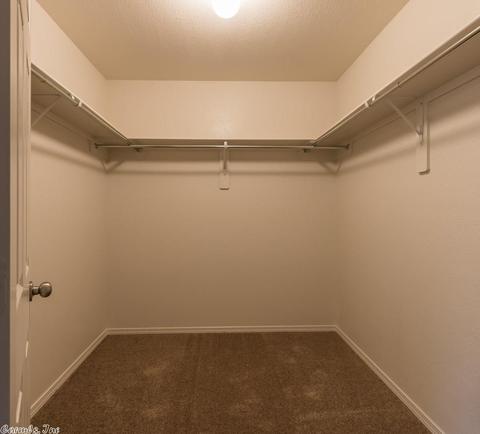 14645 Skyline Dr, Alexander, AR 72002 photo 17