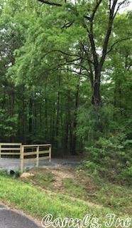 lot10 Sunshine Farms, Bigelow, AR 72016 photo 2