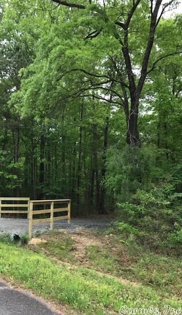lot10 Sunshine Farms, Bigelow, AR 72016 photo 4