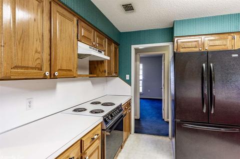195 Rufus Cir, Conway, AR 72034 photo 13