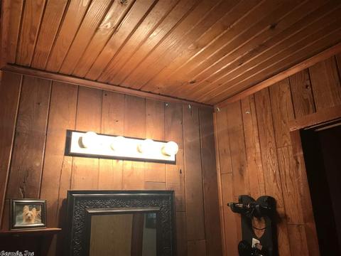2401 Mt Olive Rd, Bauxite, AR 72011 photo 34