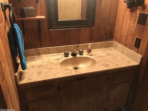 2401 Mt Olive Rd, Bauxite, AR 72011 photo 33