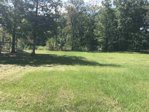 2401 Mt Olive Rd, Bauxite, AR 72011 photo 8