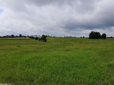 1129 Greene 438 Rd, Marmaduke, AR 72443 photo 4