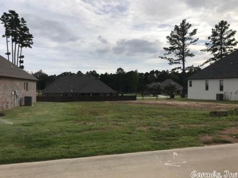 5435 Lost Cyn, Conway, AR 72034 photo 2