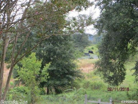 399 Huggins Rd, Amity, AR 71921 photo 4